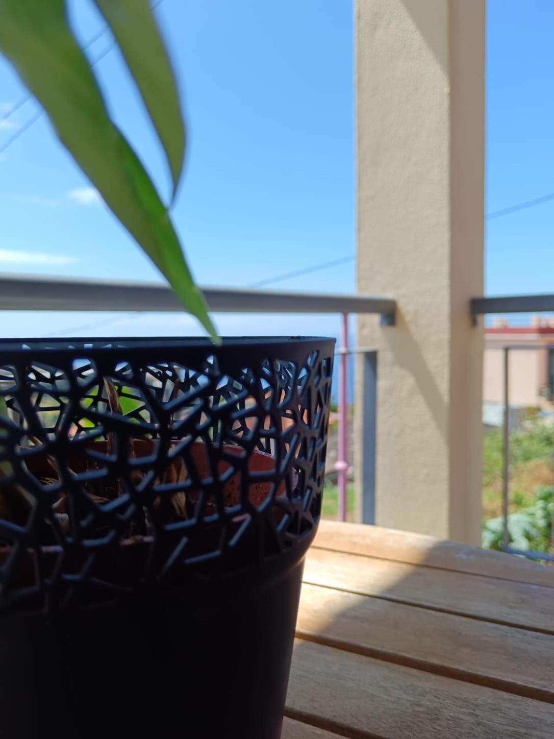 Casa Central - Peceful Mountain Retreat In Calheta Ribeira do Raposo 외부 사진